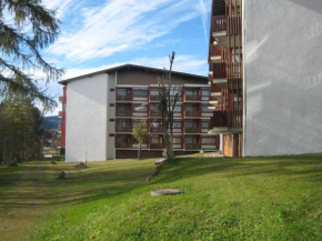 Apartment Eisenhauer in Schluchsee